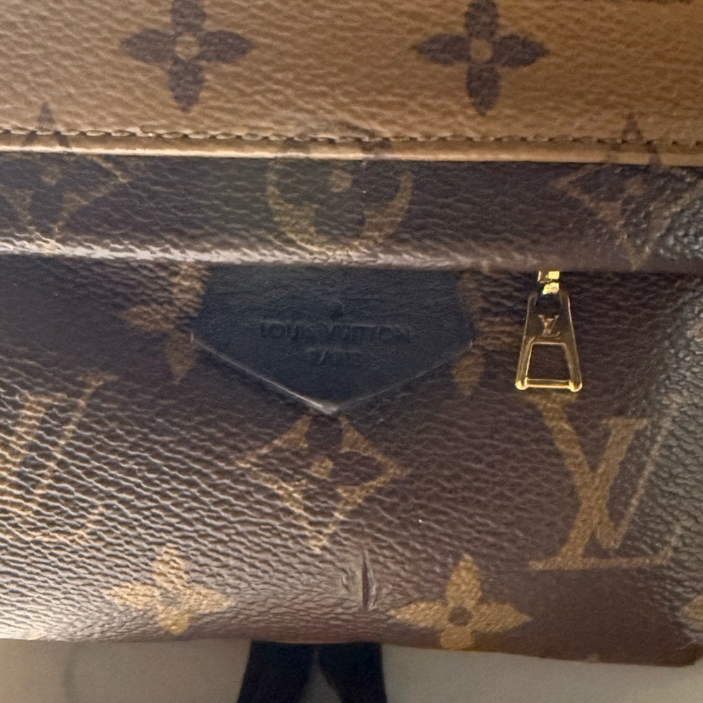 Louis Vuitton LV reverse Monogram Palm Springs Mini - Picture 2 of 16